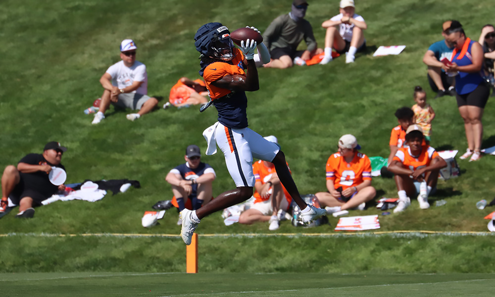 Broncos safety JL Skinner...